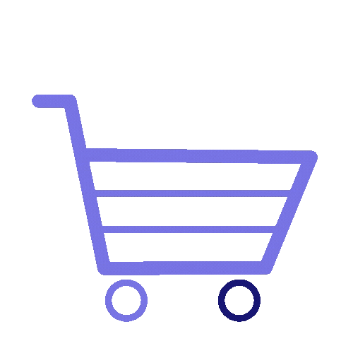 E-commerce Consulting
