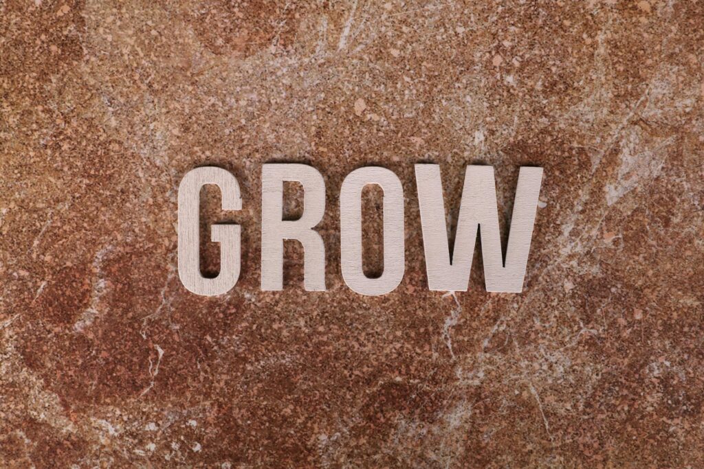 Scalable leadership framework showing how leaders grow teams and systems without breaking execution