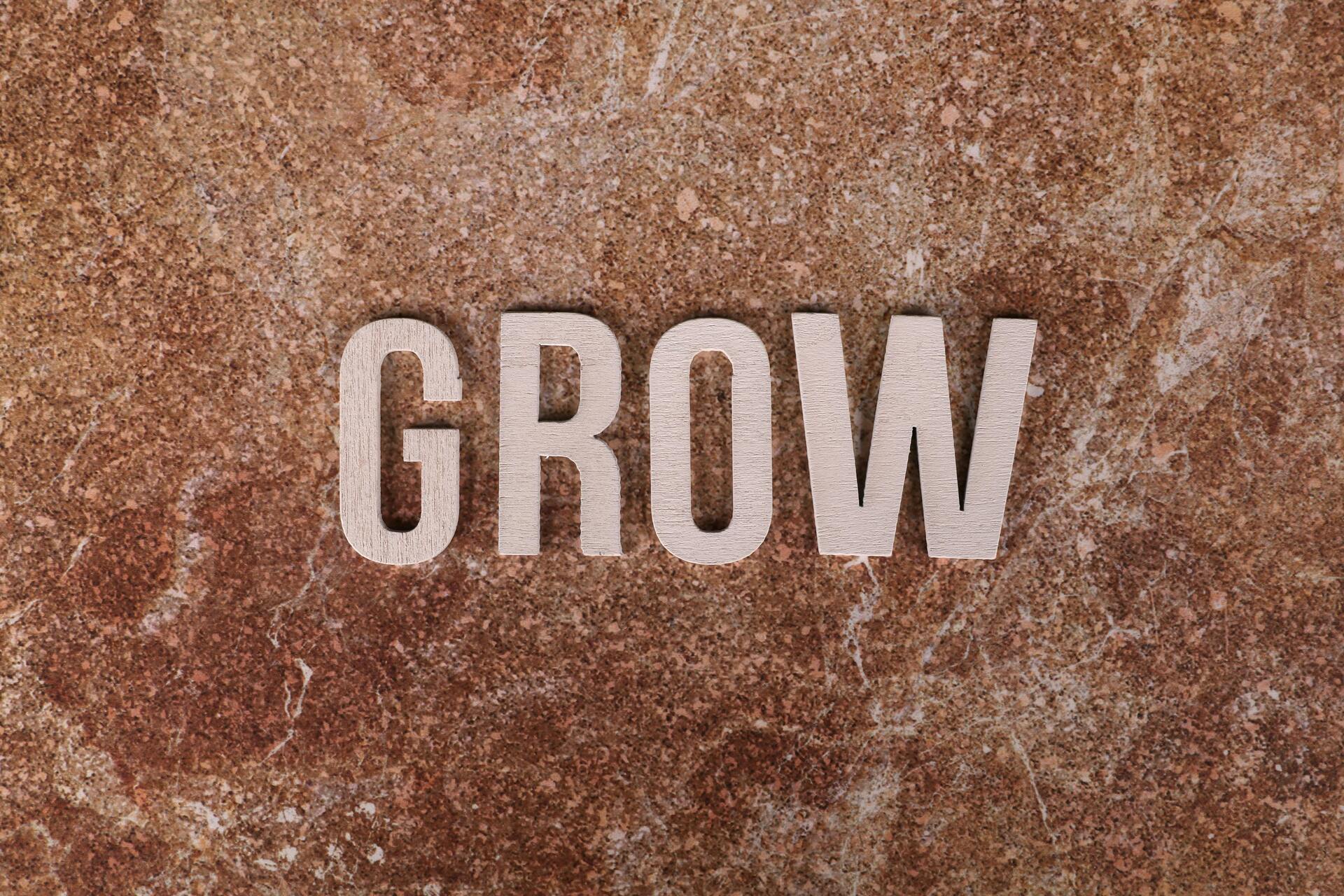 Scalable leadership framework showing how leaders grow teams and systems without breaking execution